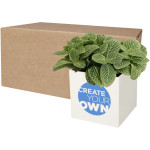 Vaso in alluminio con pianta grassa, succulenta Hey Pots